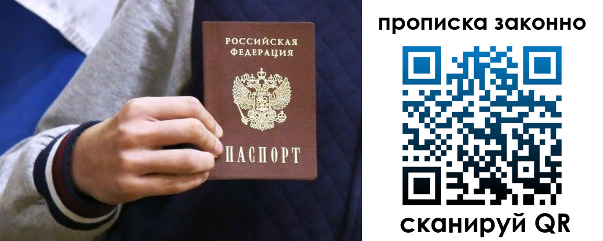 прописка гарантия в Курской области